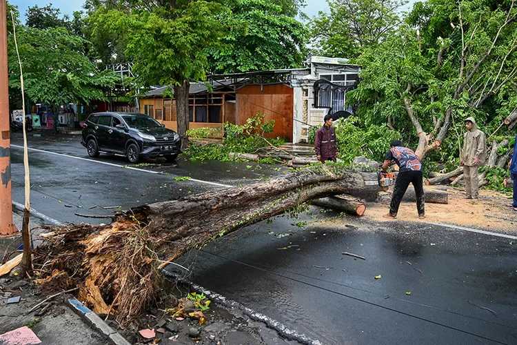 banyuwangi-dihajar-puting-beliung-15-menit-hancurkan-teras-rumah-dan-tumbangkan-pohon-di-sejumlah-titik