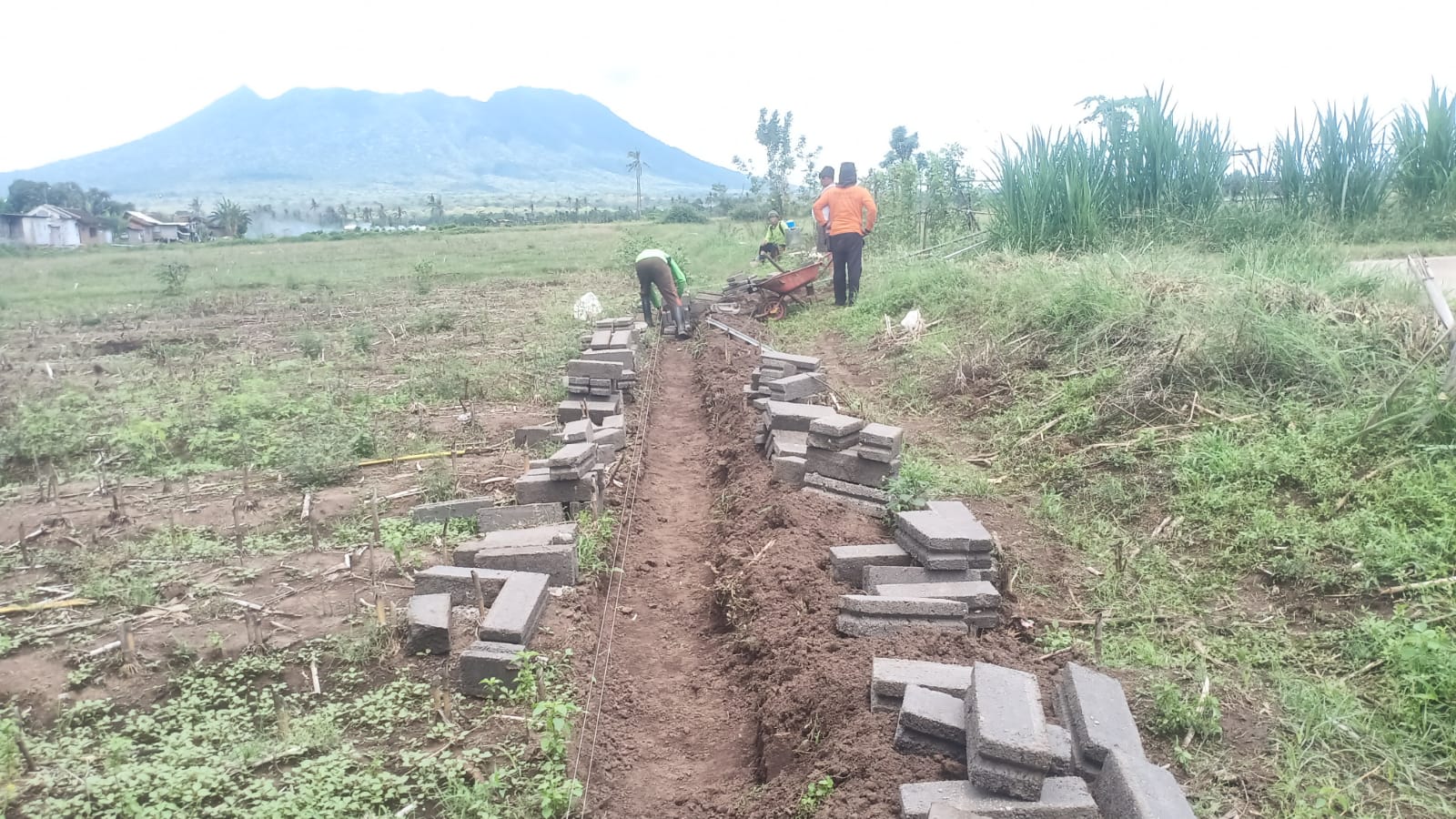 bumdes-bajulmati-bangun-kandang-bebek-petelur,-dorong-ketahanan-pangan-dan-ekonomi-desa