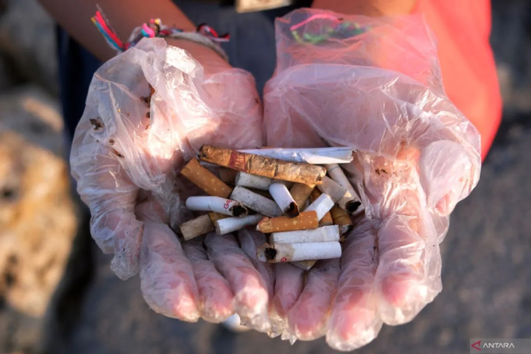 peneliti-brin:-puntung-rokok-harusnya-masuk-kategori-limbah-b3-–-times-banyuwangi