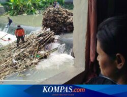 Rumpun Bambu Selalu Jadi Biang Banjir, Warga Banyuwangi Was-was