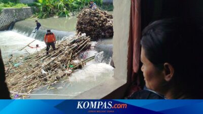 rumpun-bambu-selalu-jadi-biang-banjir,-warga-banyuwangi-was-was
