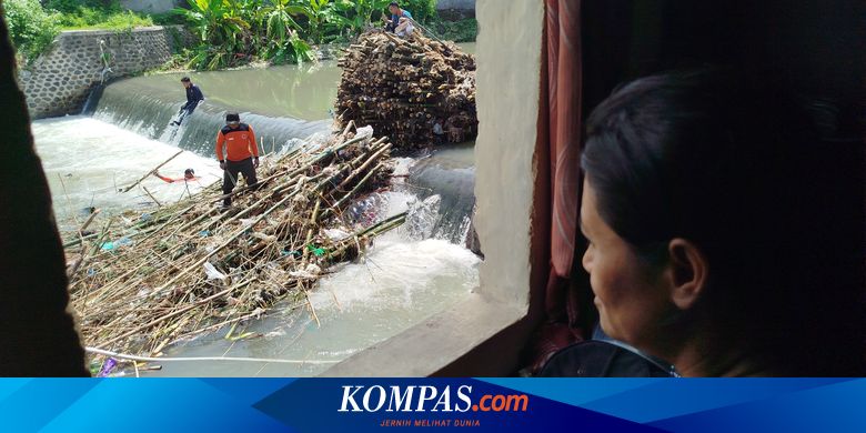 rumpun-bambu-selalu-jadi-biang-banjir,-warga-banyuwangi-was-was