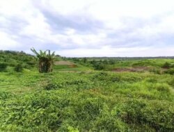 Sertifikat Diblokir Sejak 2023, Warga Terdampak Tol Gilimanuk–Mengwi di Jembrana Kian Terjepit