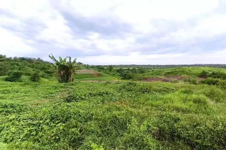 sertifikat-diblokir-sejak-2023,-warga-terdampak-tol-gilimanuk–mengwi-di-jembrana-kian-terjepit