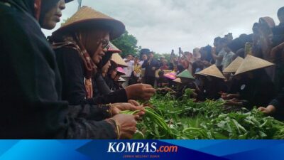 ratusan-ibu-di-banyuwangi-ikut-lomba-ikat-kangkung-“unting-unting”