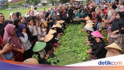 27-tim-emak-emak-di-banyuwangi-adu-cepat-ikat-kangkung