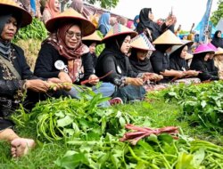 Emak-Emak di Banyuwangi Adu Ketangkasan Unting-Unting Kangkung