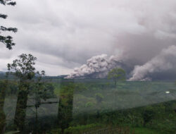 Kronologi Aktivitas Vulkanik Sebelum dan Pasca Erupsi Gunung Semeru 19 November 2025 – TIMES Banyuwangi
