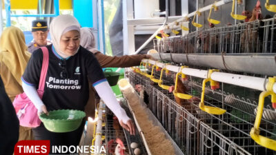 dianggarkan-rp20-triliun,-pemerintah-siap-bangun-pabrik-pakan-ternak-–-times-banyuwangi