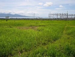 PLTS 100 MW Banyuwangi Baru Dibangun 2026, Indonesia Power Tuntaskan Pengadaan Lahan 153 Hektare