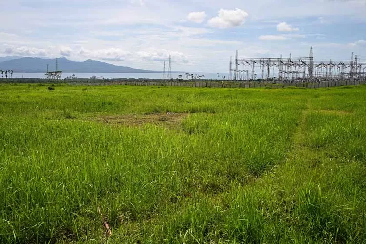 plts-100-mw-banyuwangi-baru-dibangun-2026,-indonesia-power-tuntaskan-pengadaan-lahan-153-hektare