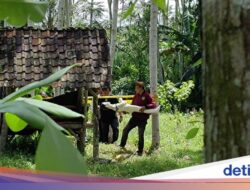 Hari Anak, Ini Harapan Ayah Terdakwa Pembunuhan Siswi MI di Banyuwangi