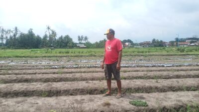 petani-berharap-proyek-rehabilitasi-lekas-selesai-sesuai-jadwal