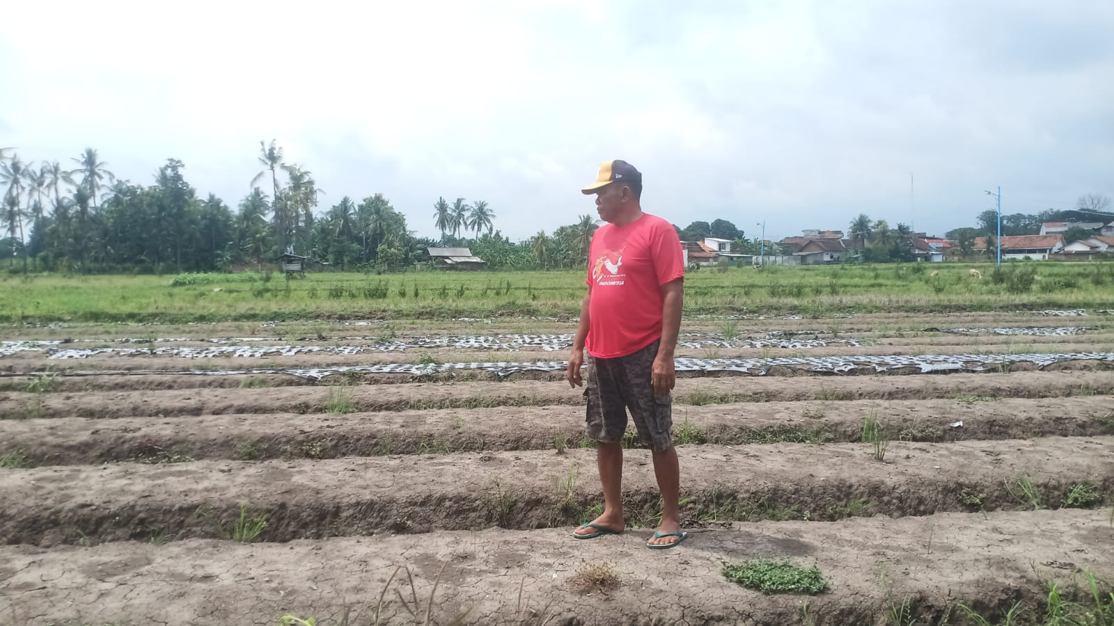 petani-berharap-proyek-rehabilitasi-lekas-selesai-sesuai-jadwal