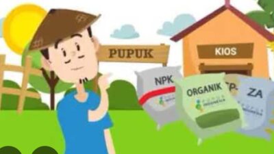 petani-wongsorejo-resah,-jatah-pupuk-ponska-diduga-hilang-di-kios