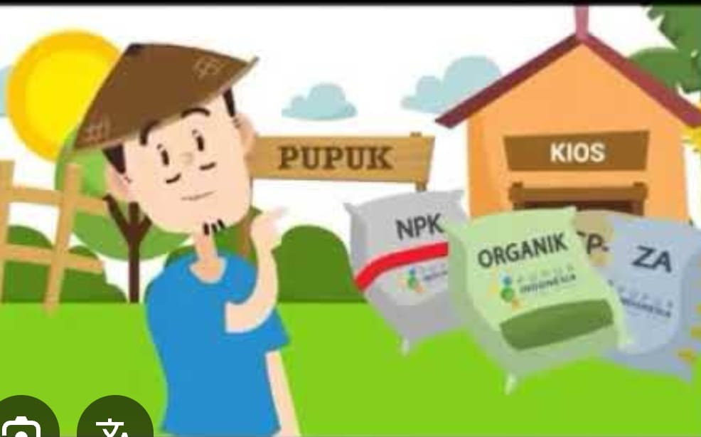 petani-wongsorejo-resah,-jatah-pupuk-ponska-diduga-hilang-di-kios
