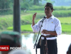 Mentan Pastikan Stok Beras dan Jagung Aman, Indonesia Tidak Perlu Impor Sampai Akhir 2025 – TIMES Banyuwangi