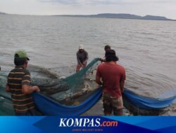 Cuaca Buruk Bikin Sepi Tangkapan, Nelayan Banyuwangi: Kalau Begini Dapatnya Rp 2.000, Buat Ngopi Saja Tak Cukup