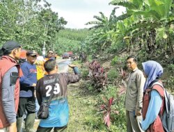 Pohon Jati Ditanam Mulai Desember di Gunung Gamping untuk Cegah Longsor, Delapan Hektare Disiapkan
