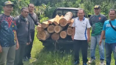 polhutmob-tangkap-pembalak-liar-di-tegaldlimo-banyuwangi,-21-batang-kayu-jati-ilegal-disita