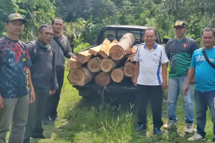 polhutmob-tangkap-pembalak-liar-di-tegaldlimo-banyuwangi,-21-batang-kayu-jati-ilegal-disita