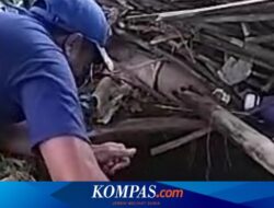 Cerita Petugas Damkar Banyuwangi Kuras Sumur demi Ambil Ponsel Pelajar