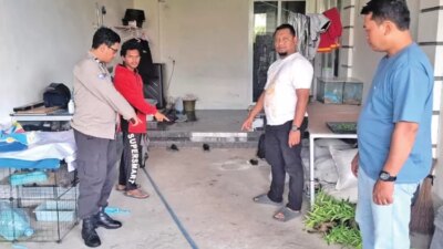 curanmor-di-siang-bolong-di-genteng-banyuwangi,-honda-beat-raib-dibawa-pelaku-berjaket-hitam