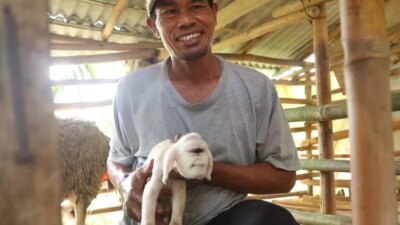 heboh-anak-kambing-bermata-satu-di-sempu-banyuwangi,-diduga-alami-kelainan-langka-cyclopia