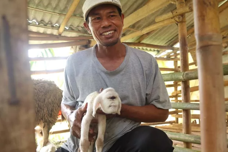 heboh-anak-kambing-bermata-satu-di-sempu-banyuwangi,-diduga-alami-kelainan-langka-cyclopia