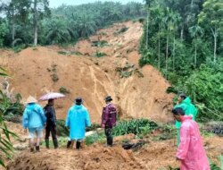 Tragedi Banjir dan Longsor di Agam: 74 Jiwa Melayang, Pencarian Belum Usai
