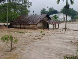 174 Orang Tewas, 79 Hilang Akibat Bencana Hidrometeorologi di Sumatera: BNPB Kerahkan OMC dan Alutsista