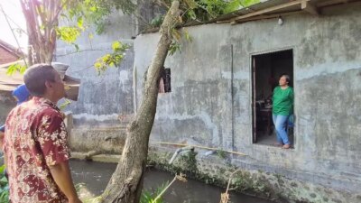 pohon-santen-20-meter-roboh-timpai-rumah-warga-genteng,-diduga-akibat-hujan-dan-angin-kencang