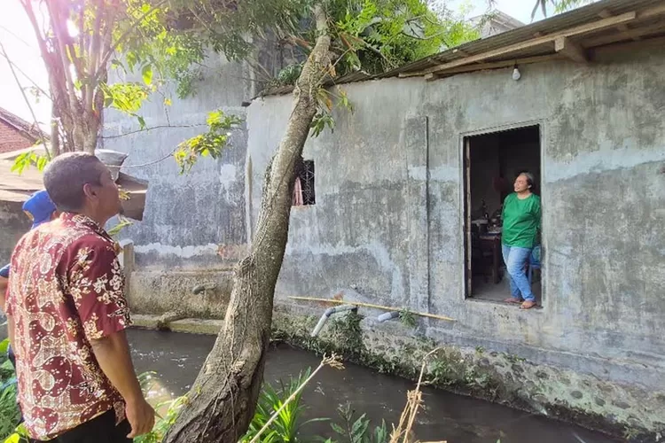 pohon-santen-20-meter-roboh-timpai-rumah-warga-genteng,-diduga-akibat-hujan-dan-angin-kencang