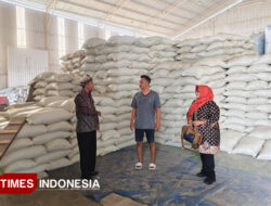 Prediksi Surplus 35 Ribu Ton, Dispertan Banyuwangi Pastikan Stok Beras Aman Jelang Nataru – TIMES Banyuwangi