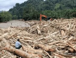 Polri Selidiki Dugaan Illegal Logging di Balik Kayu Gelondongan Terbawa Banjir Sumatera