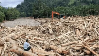 polri-selidiki-dugaan-illegal-logging-di-balik-kayu-gelondongan-terbawa-banjir-sumatera