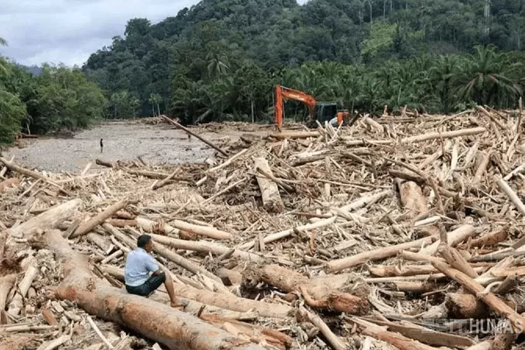 polri-selidiki-dugaan-illegal-logging-di-balik-kayu-gelondongan-terbawa-banjir-sumatera