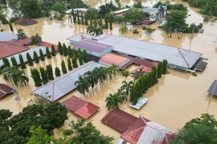 benarkah-deforestasi-penyebab-utama-banjir-bandang-di-sumatera?-ini-analisisnya
