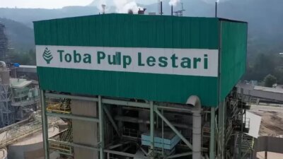 siapa-pemilik-pt-toba-pulp-lestari?-ini-struktur-saham-dan-polemik-lingkungannya