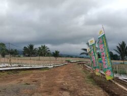 Alih Fungsi Lahan PT Lidjen Dinilai Bisa Picu Banjir di Banyuwangi, Ini Tanggapan Kalaksa BPBD