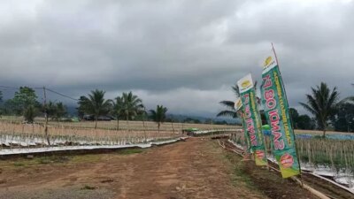 alih-fungsi-lahan-pt-lidjen-dinilai-bisa-picu-banjir-di-banyuwangi,-ini-tanggapan-kalaksa-bpbd