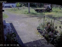 Rumah Warga Banyuwangi Dibobol, LPG dan Rice Cooker Raib – TIMES Banyuwangi