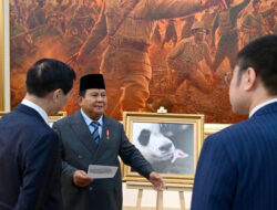 Diplomasi Panda, Prabowo Cerita Kelahiran Rio ke Ketua MPR China – TIMES Banyuwangi