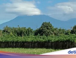 Okupansi Pendakian Gunung Raung Turun 50% Jelang Nataru