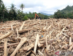 Guru Besar IPB: Banjir Sumatera Disebabkan Aktivitas Manusia – TIMES Banyuwangi