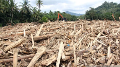 guru-besar-ipb:-banjir-sumatera-disebabkan-aktivitas-manusia-–-times-banyuwangi