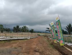 Alih Fungsi Lahan Kian Menggila, BPBD Banyuwangi Peringatkan Ancaman Banjir dan Longsor!