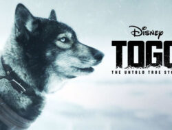 Film Tentang Anjing Heroik, Seperti Reno Unit K-9 Polda Riau yang Gugur – TIMES Banyuwangi