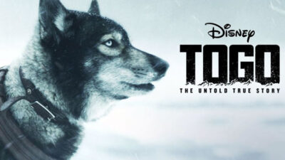 film-tentang-anjing-heroik,-seperti-reno-unit-k-9-polda-riau-yang-gugur-–-times-banyuwangi