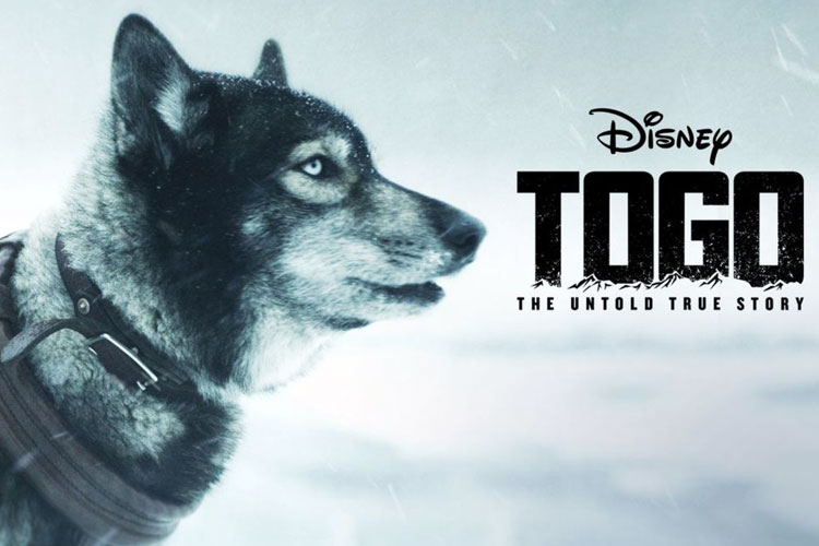 film-tentang-anjing-heroik,-seperti-reno-unit-k-9-polda-riau-yang-gugur-–-times-banyuwangi